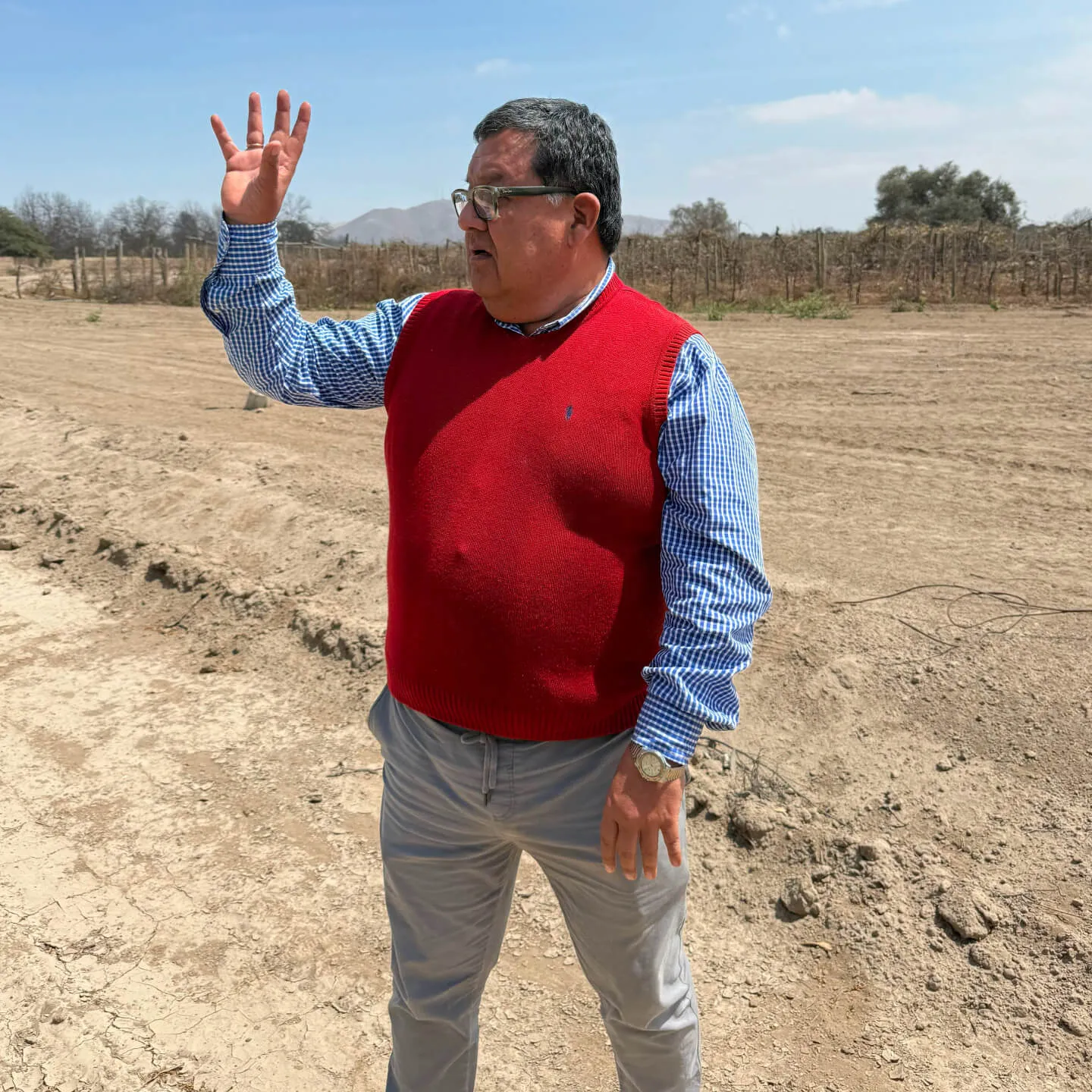 PERU: Çölün, Okyanusun, Yüksek Rakımın Şarapları