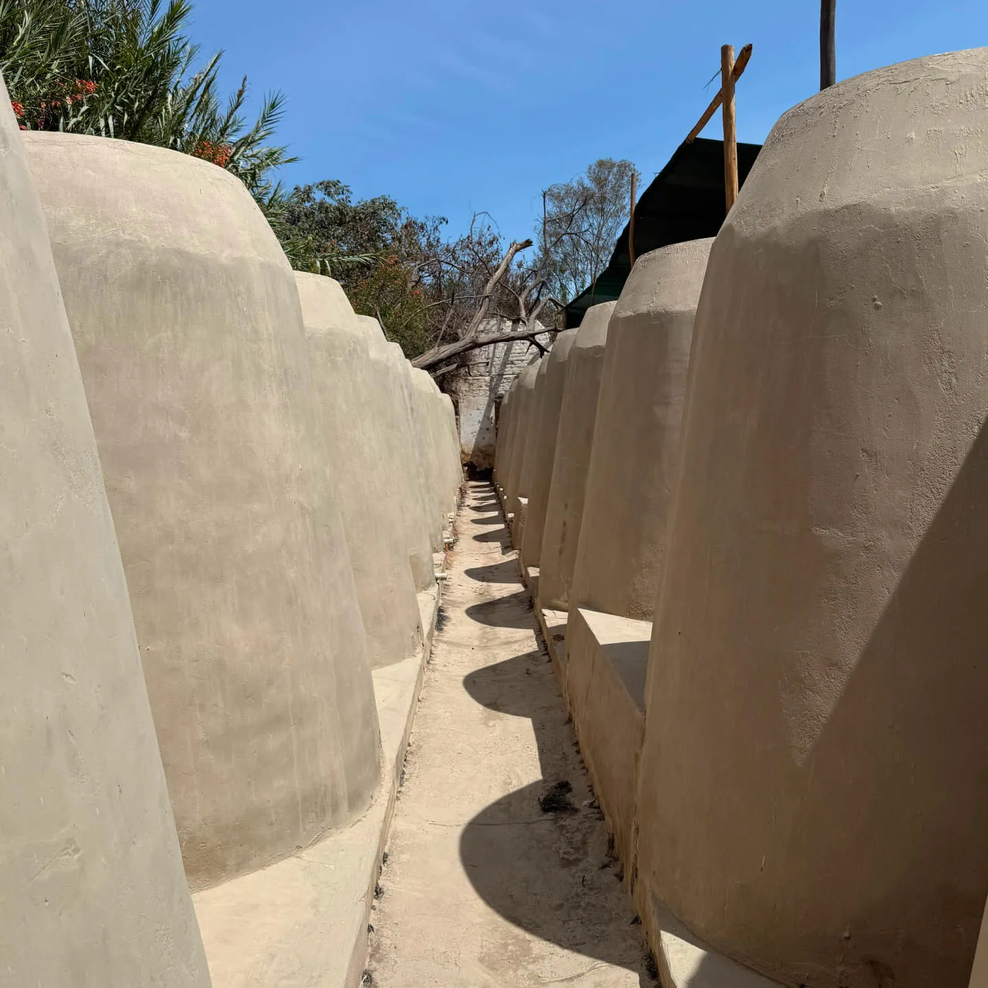 PERU: Çölün, Okyanusun, Yüksek Rakımın Şarapları