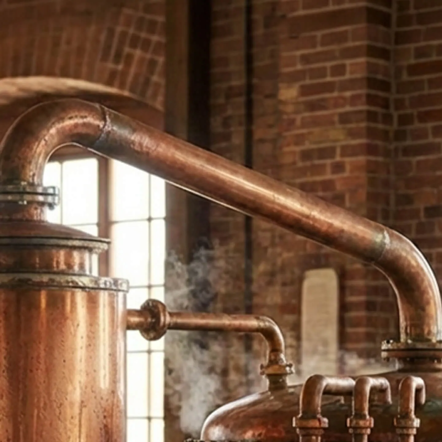 Rakı Meraklılarına 5 Terim