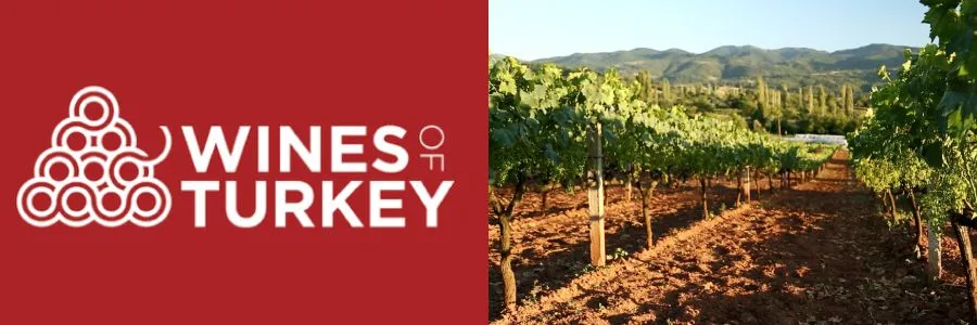 BANU ERGAN: WINES OF TURKEY