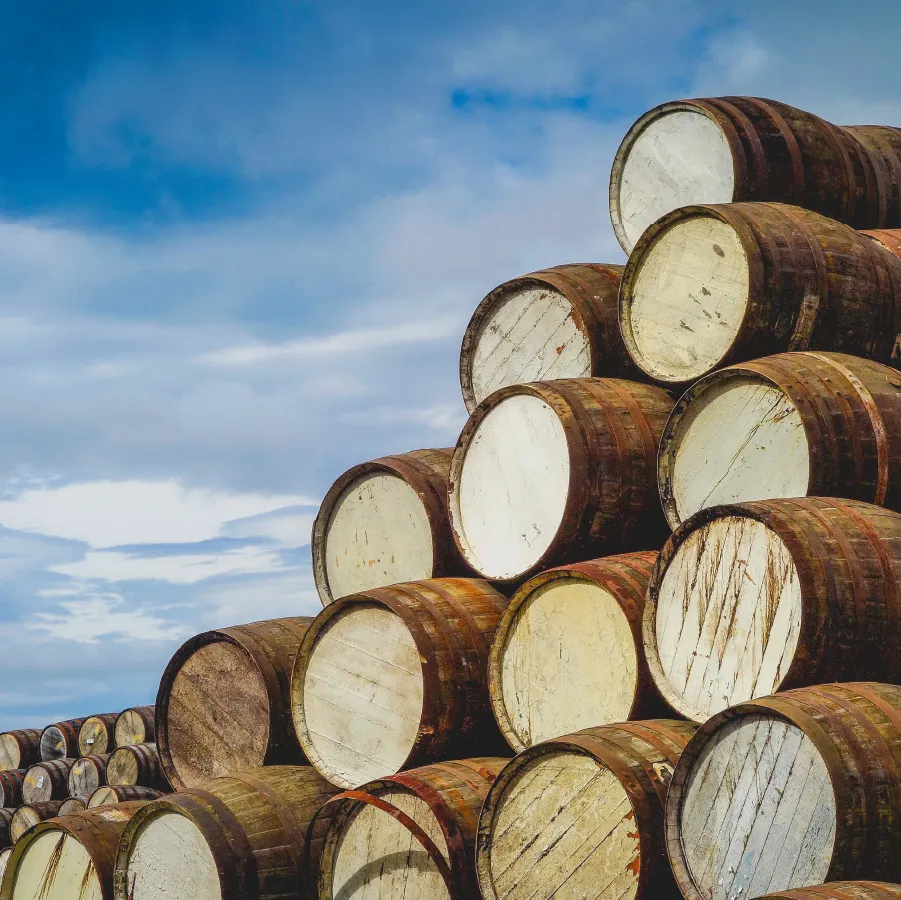 Viski üretiminde kullanılan fıçı cinsleri nelerdir?