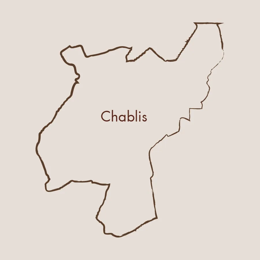 7 MADDEDE CHABLIS