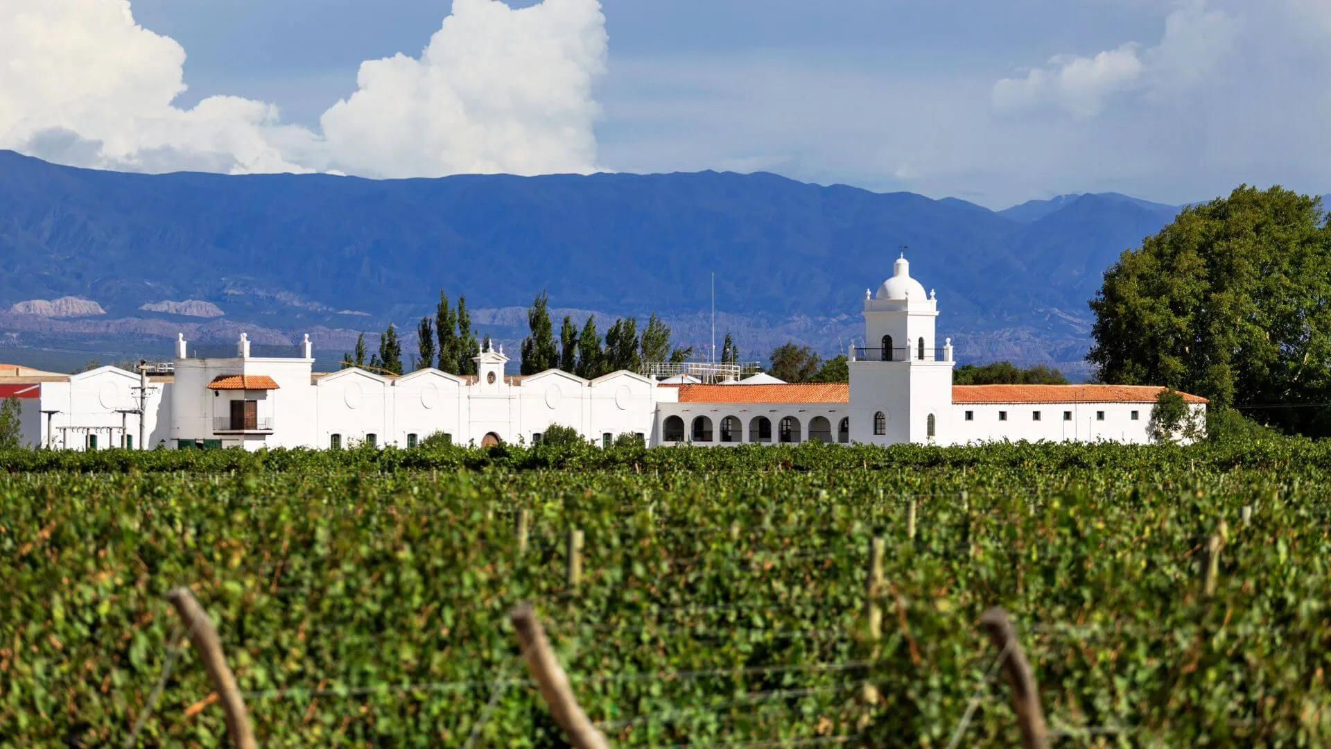 Gezginler İçin Mini Şarap Rehberi - 5