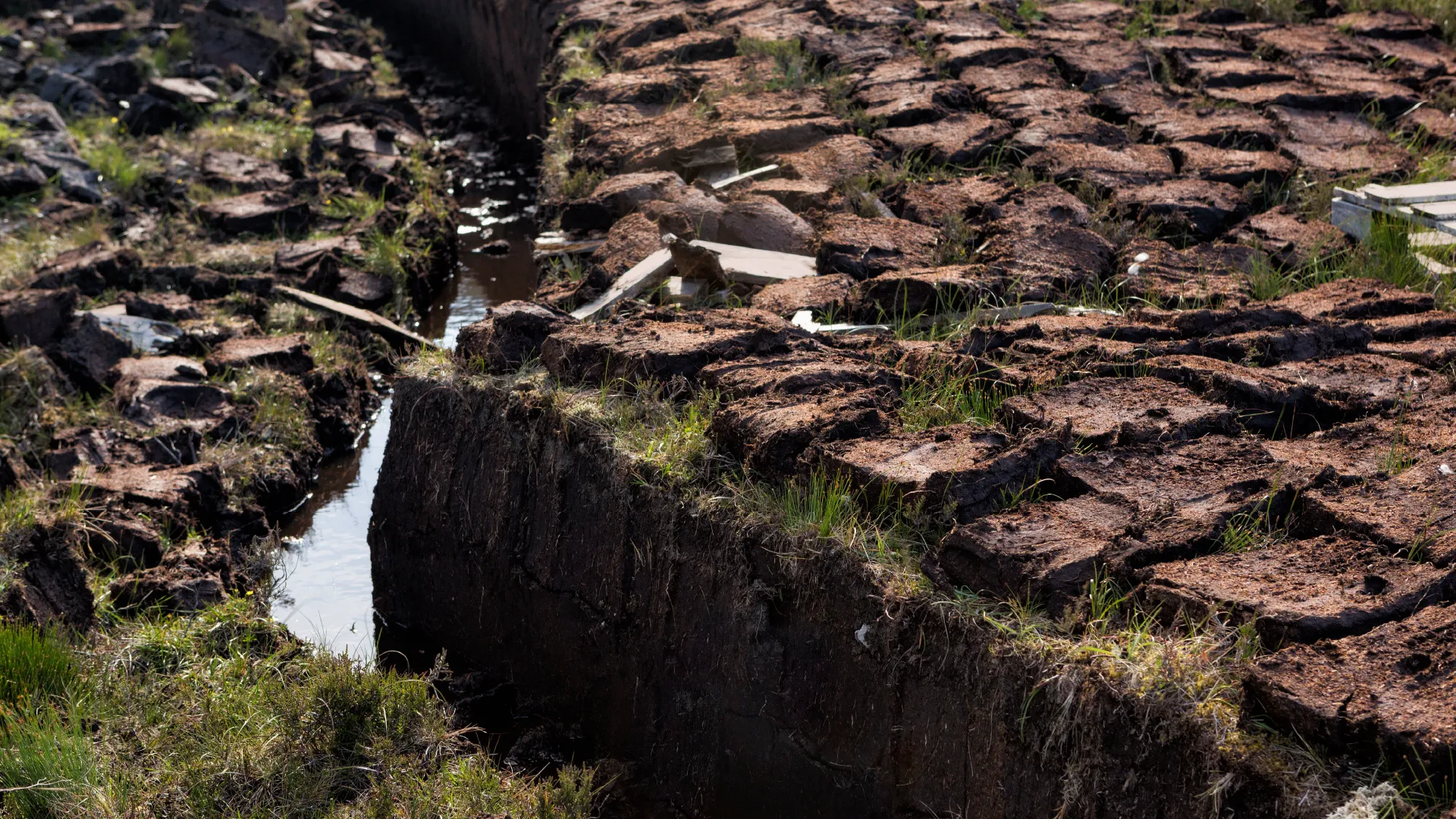 Turba (peat) nedir?