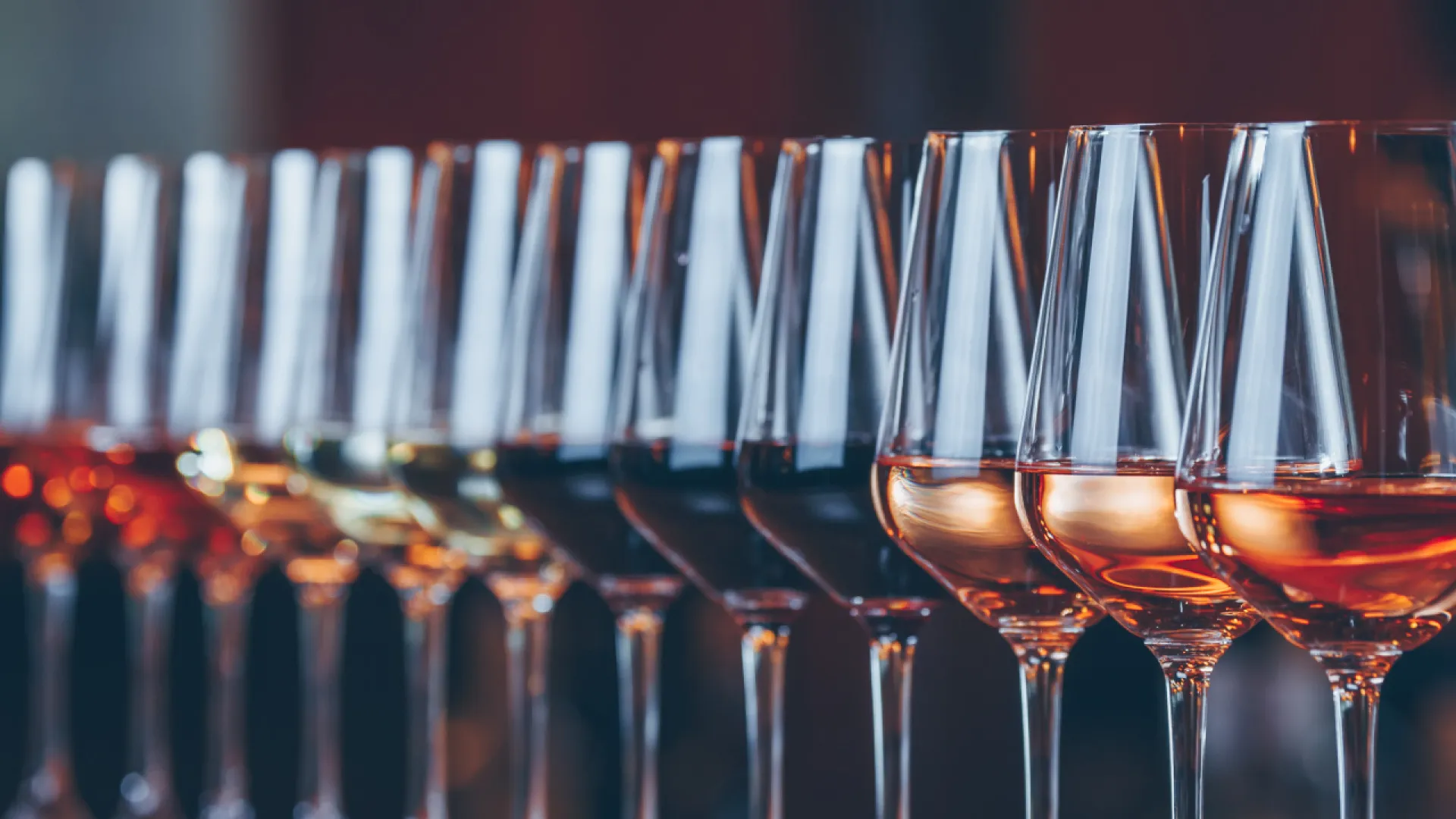 WSET-2. Seviye Şarap Yeterlilik Programı-Ekim 2025