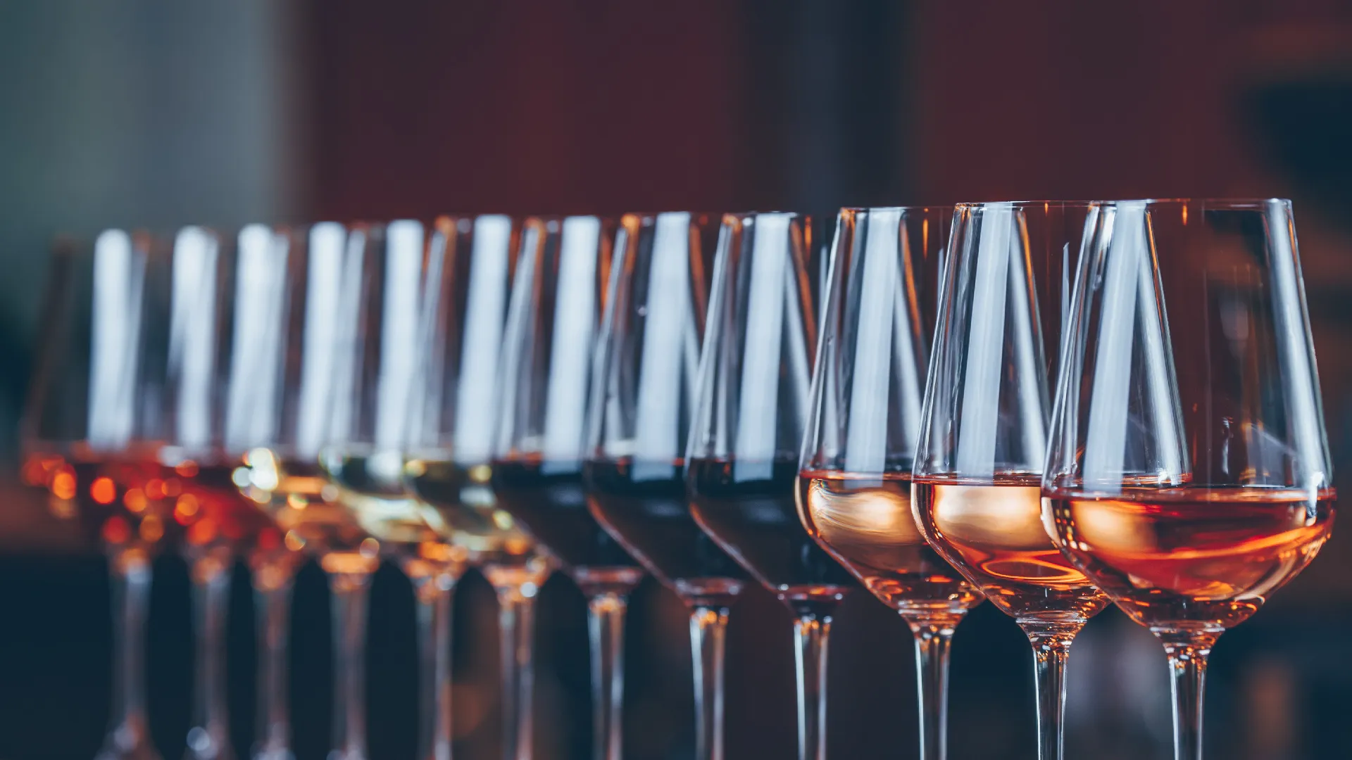 WSET-2. Seviye Şarap Yeterlilik Programı Kasım 2023