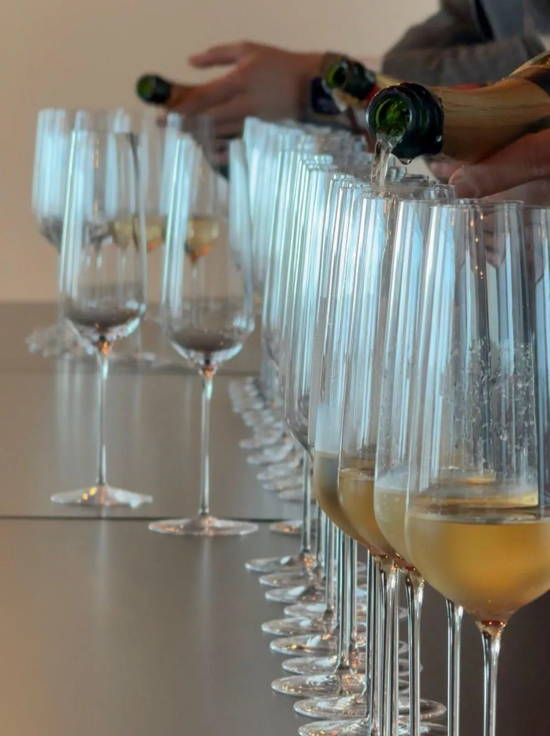 16. Genç Sommelier Yarışması