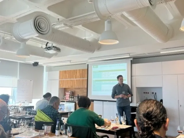 WSET-3. Seviye Şarap Yeterlilik Programı