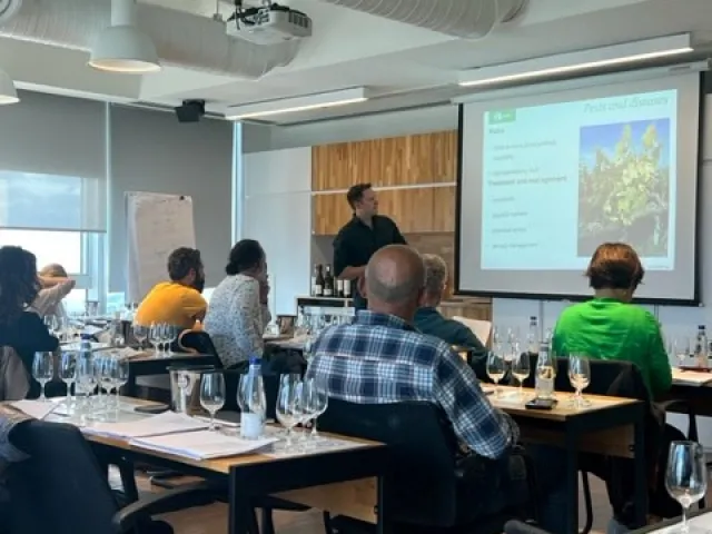 WSET-3. Seviye Şarap Yeterlilik Programı