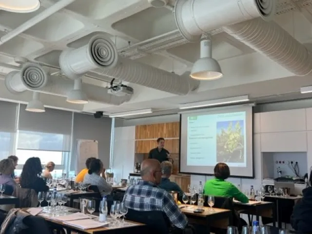 WSET-3. Seviye Şarap Yeterlilik Programı