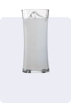 Rakı 101
