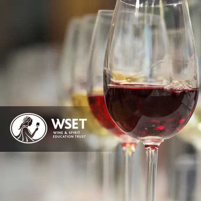 WSET 1. Seviye Şarap Yeterlilik Programı